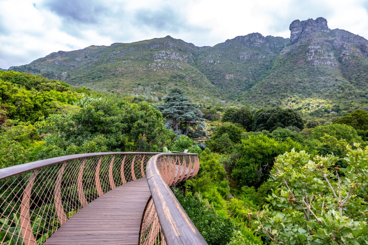 Most Kirstenbosch