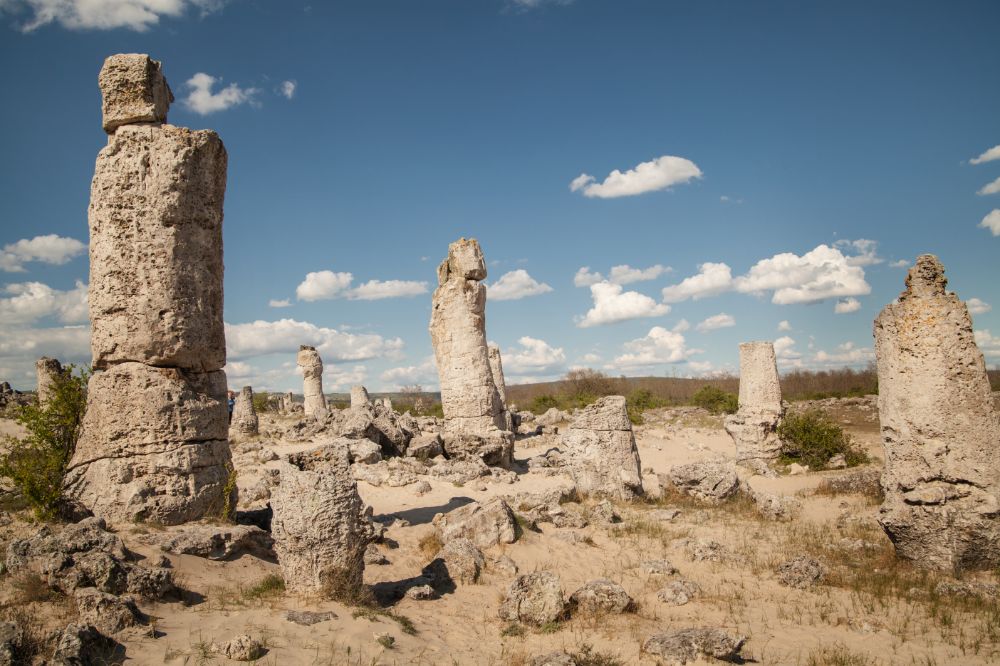Kamenný les u Varny