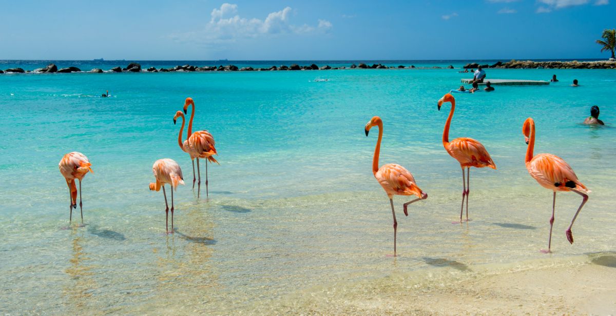 TOP 3 zážitky na Arubě