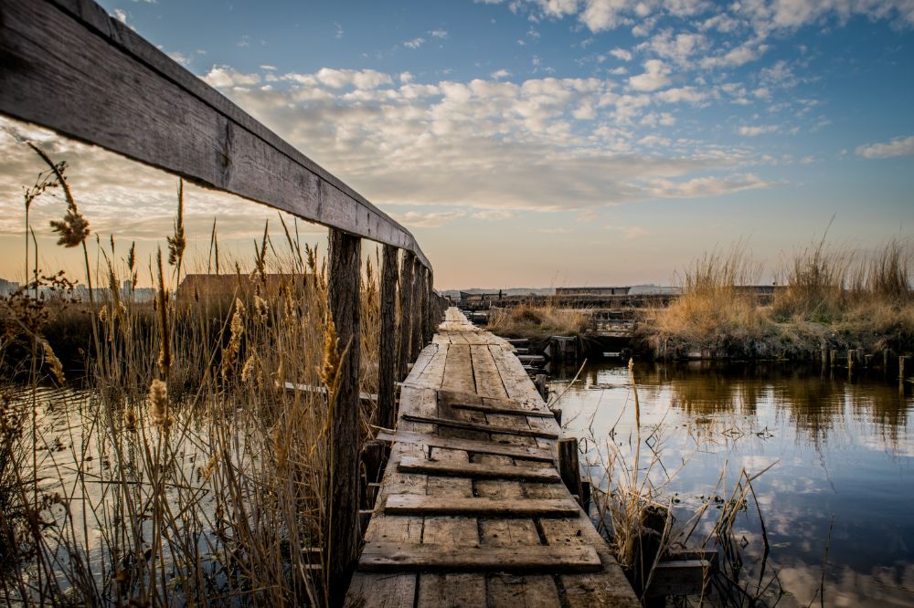 Saliniště u burgaských jezer