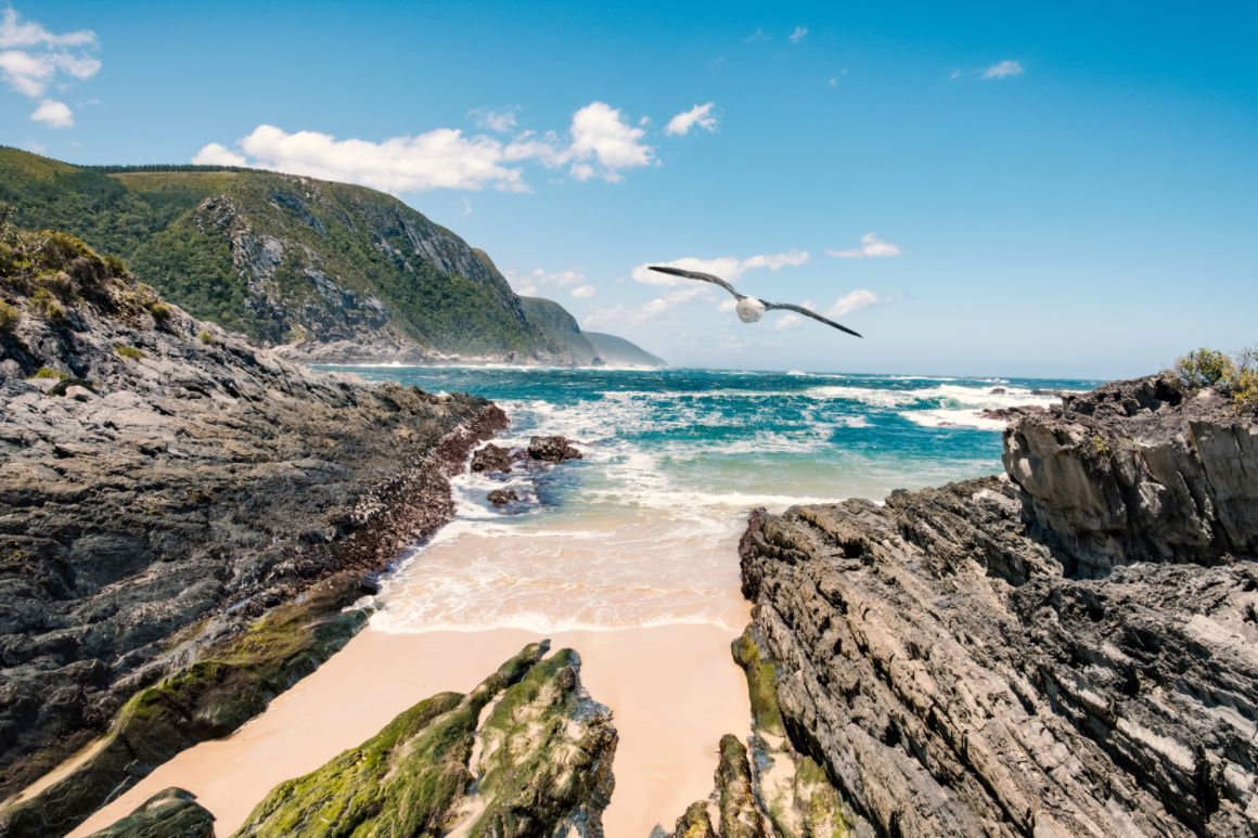 Magické záběry z jihoafrického Divokého pobřeží