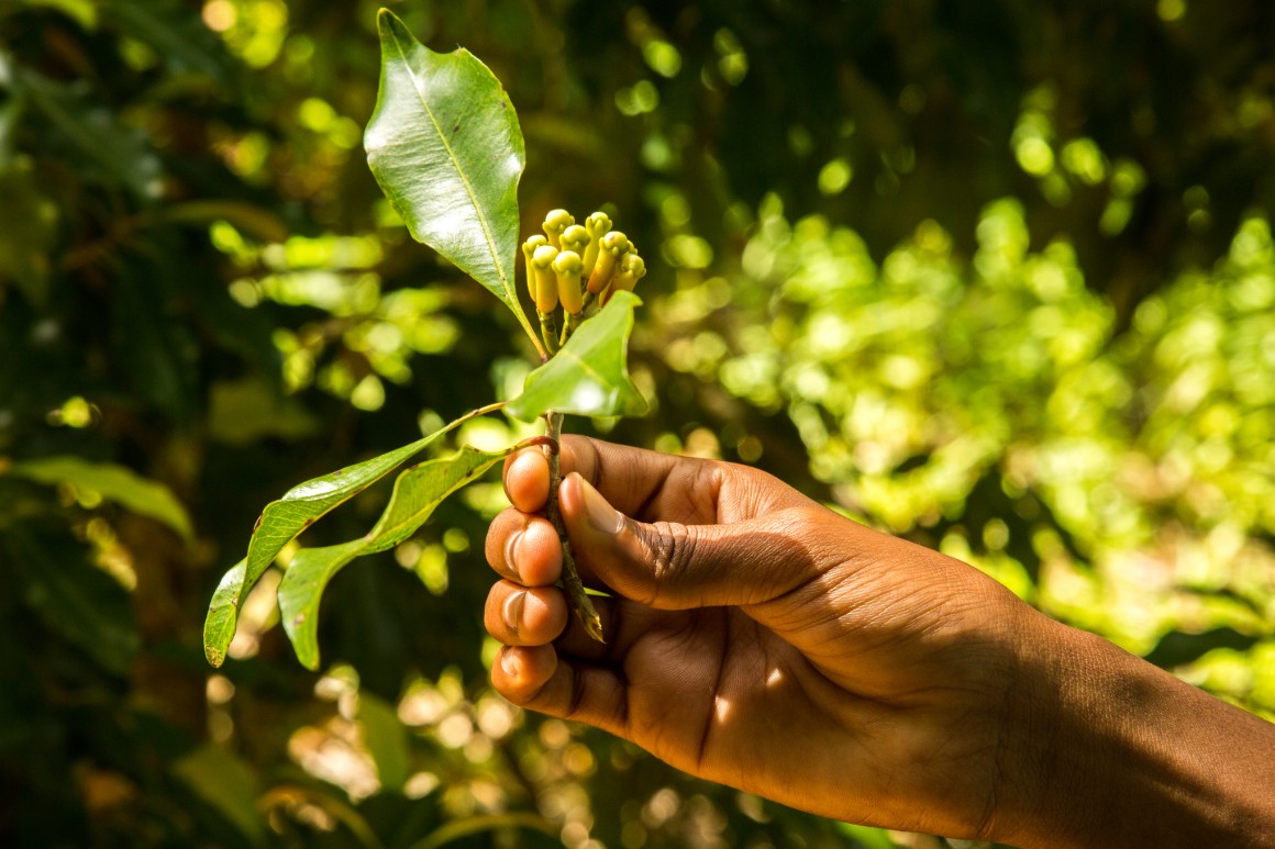 Nejstarší islámské stavby východní Afriky? V Kizimkazi