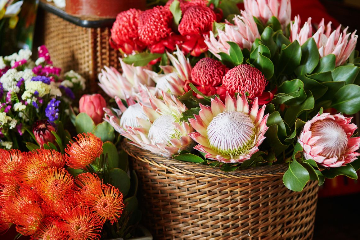 Mercado dos Lavradores ve Funchalu
