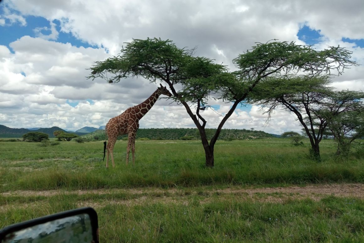 Dobrodružství mezi africkou zvířenou v přírodní rezervaci Shaba