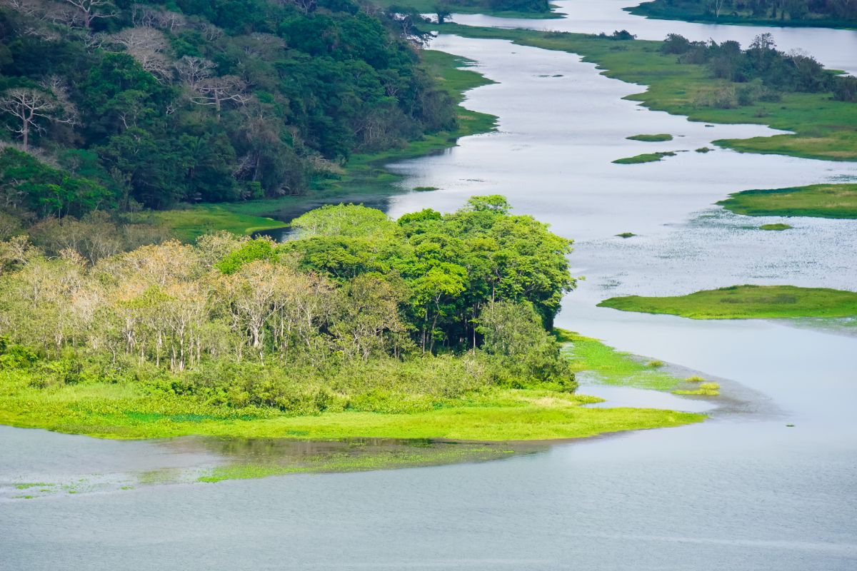 Národní park Soberanía, Panama