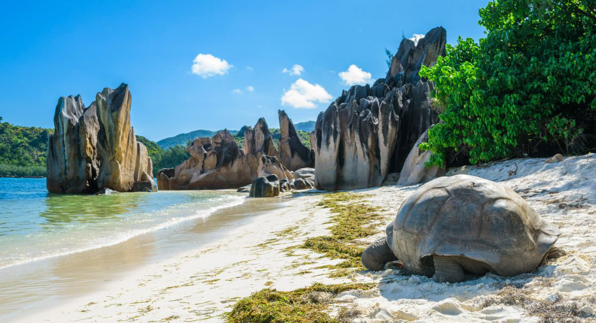 TOP 3 zážitky na Praslinu