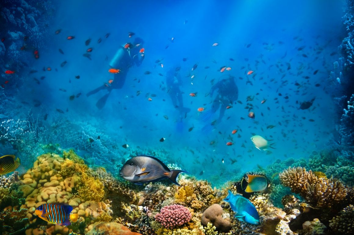 H2 - Kdy se jet potápět do Egypta?