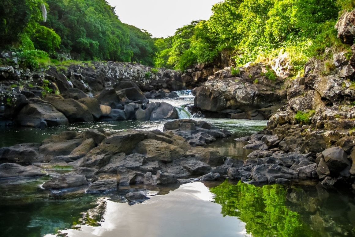 V srdci národního parku Black River