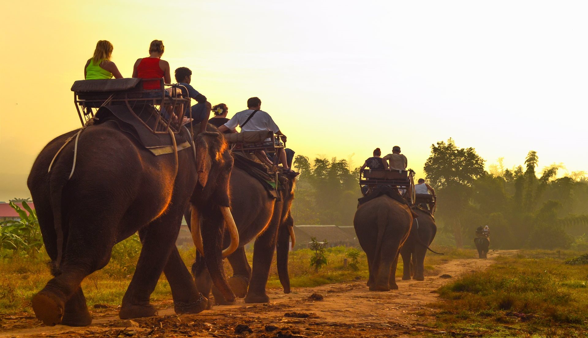 Okružní a kombinované zájezdy